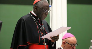 cardinal sarah