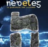 noz-nedeleg