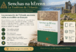 Senchas na hÉrenn : les manuscrits de l&rsquo;Irlande ancienne enfin accessibles en français