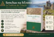 Senchas na hÉrenn : les manuscrits de l&rsquo;Irlande ancienne enfin accessibles en français