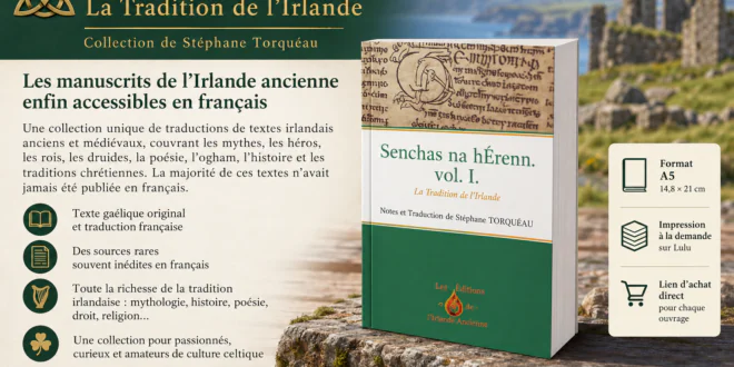 Senchas na hÉrenn : les manuscrits de l&rsquo;Irlande ancienne enfin accessibles en français